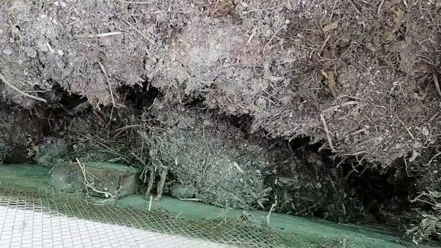 ДАЧА СВОИМИ РУКАМИ | ПО ВАШИМ ПРОСЬБАМ ОБЗОР ДАЧИ | СТРОИМ НА ВЕКА | ОГОРОД | ДРЕНАЖ И КОМПОСТ смотреть онлайн