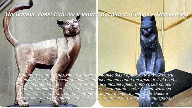 Виртуальная выставка-знакомство «Дикие и домашние-все такие важные». смотреть онлайн