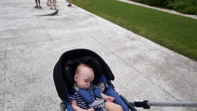 Необычные места в Майами- Вилла Визкайя, отель Biltmore в Coral Gables, православный храм. смотреть онлайн