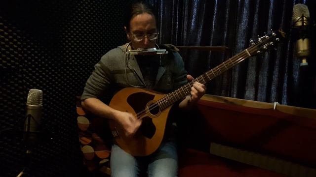 Irish harmonica - Sally Gardens, Fridtjoff's Chickens смотреть онлайн