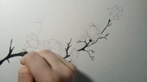 Рисунок сакуры цветными карандашами