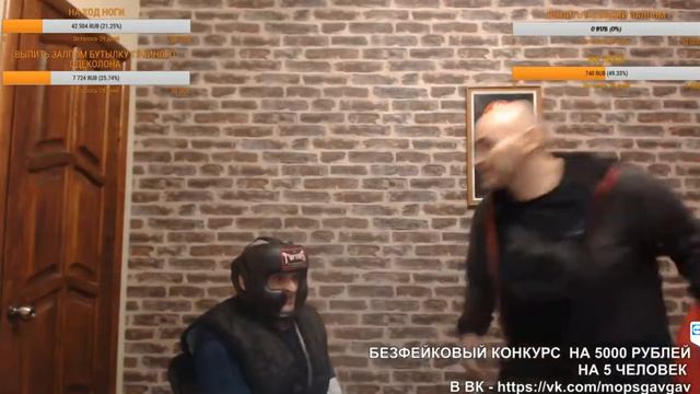 мопс спаринг / подготовка к мартыненко смотреть онлайн