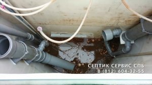 Обслуживание Евробион