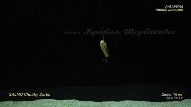 СЕКРЕТЫ АНИМАЦИИ Chubby Darter от SALMO. Просто фантастическая игра! Подводные съемки на 4.5 м смотреть онлайн