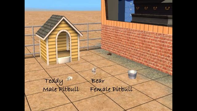 Sims 2 My Pitbull Family! смотреть онлайн