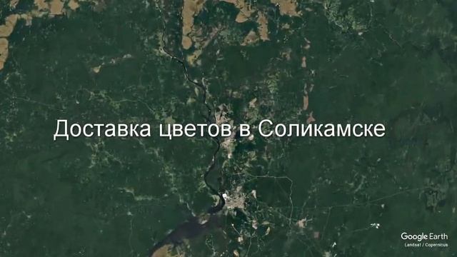 Доставка цветов в Соликамске - Заказ букетов от компании Скорая подарочная помощь смотреть онлайн