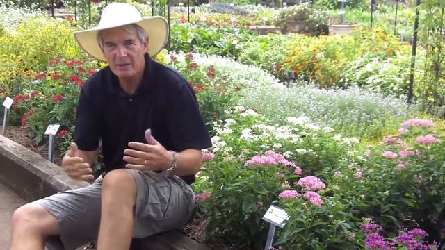 Dr. A on Benary Plants смотреть онлайн
