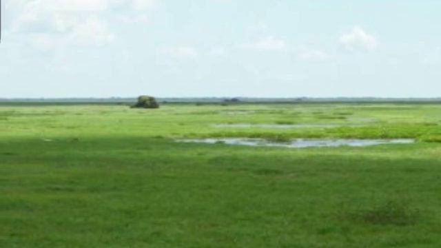 Ramon Piñero - Amargo Sufrimiento смотреть онлайн