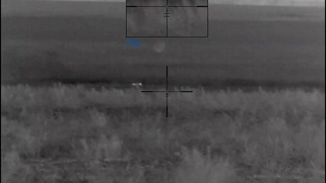 Добыча Волка ночью на Вабу смотреть онлайн