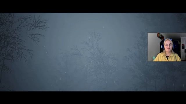СИНИЙ ТУМАН ПОХОЖ НА ОБМАН. The Dark Pictures Anthology: Little Hope. 1 серия. смотреть онлайн