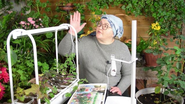 Верьте в себя, и у вас все получится! смотреть онлайн