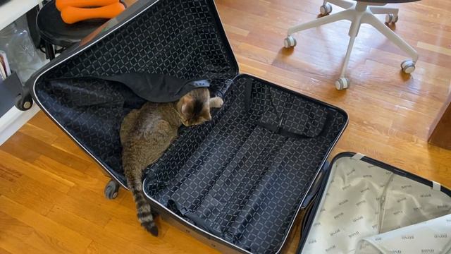 Влог из Казани смотреть онлайн