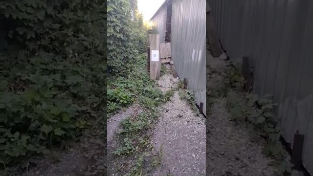 Форт 12 р ,отзыв клиента смотреть онлайн