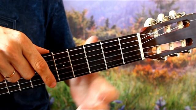 Закон Каменных Джунглей (ЗКД) на Гитаре + РАЗБОР