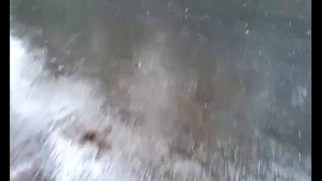 Unclogging storm drains to relieve a flood смотреть онлайн