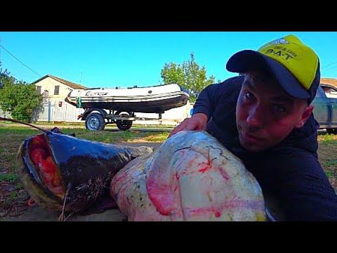 ЯМА МОНСТРОВ ОЖИЛА !!!! ВОДА КИПИТ ИЗНУТРИ !!!! ПОПАЛ НА ЖОР СОМА!!! РЫБАЛКА С НОЧËВКОЙ! смотреть онлайн