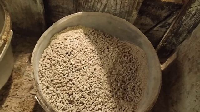 ВЕГА ПК-2. ПТИЦА ОБЪЯВИЛА БОЙКОТ ХОЗЯЙКЕ смотреть онлайн