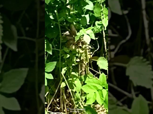 19 июня 2022 г. смотреть онлайн