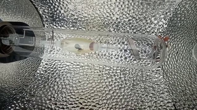 How to light a metal halide lamp / Как зажигаеться лампа металогалогенна смотреть онлайн