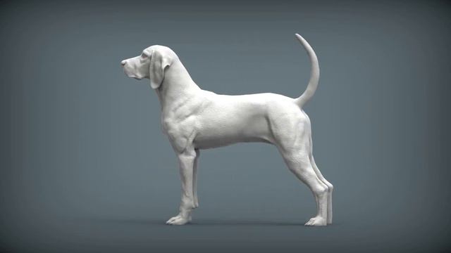 American English Coonhound смотреть онлайн