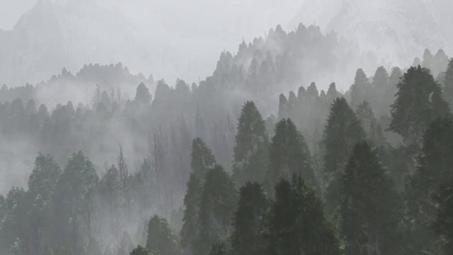 3D Environment - Vue Compilation Scenes 2018 смотреть онлайн