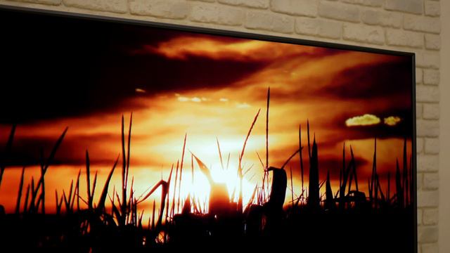 Prestigio D1: недорогой 4K смарт-телевизор на 50 дюймов смотреть онлайн
