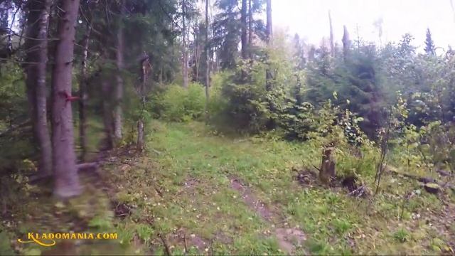 НАШЕЛ СХРОН ВЫЖИВАЛЬЩИКА ? Что можно найти в лесу с металлоискателем. Кладомания смотреть онлайн