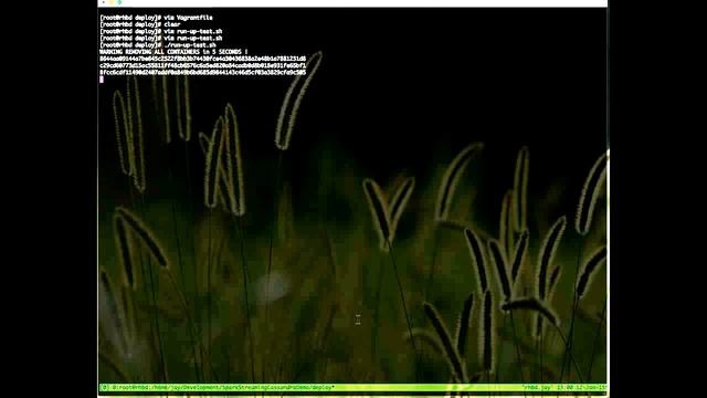[watch in HD] Testing BigData Microservices in Vagrant смотреть онлайн