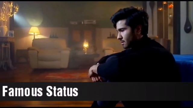 Khaani New Whatsapp Status Video Of Episode 25 | Mir Haadi, Khani||by Famous Status смотреть онлайн