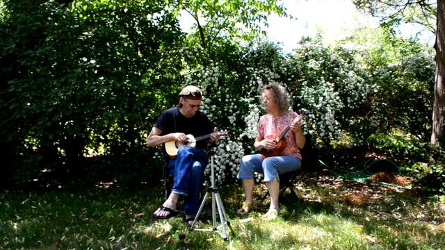 Mr Sandman - Uke Duet смотреть онлайн