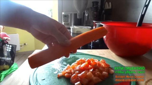 Домашние Животные и Их Уход