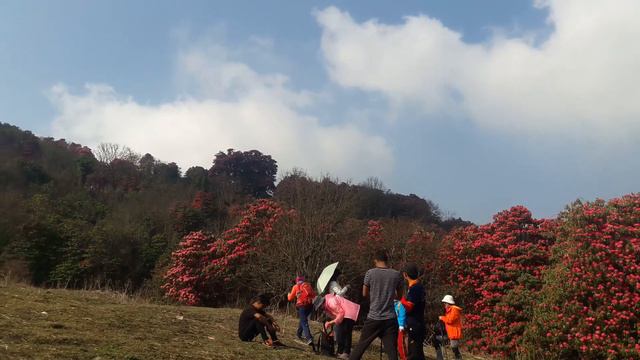 Ghorepani Poon hill Trek -Short Annapurna Trekking -Nepal Guide Info смотреть онлайн