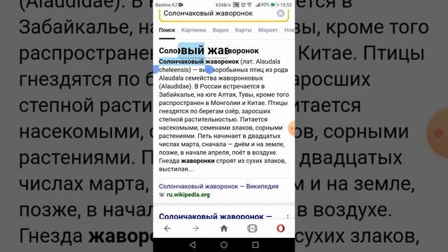 Мини проект 5 класс смотреть онлайн