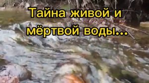 Тайна живой и мёртвой воды...