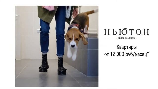 ЖК "Ньютон": У Чарли своя ванная смотреть онлайн