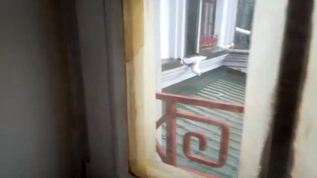 Как быстро и качественно покрасить деревянные евро окна смотреть онлайн