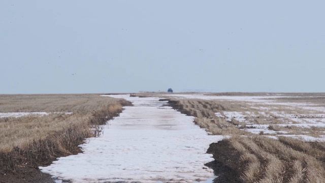 Охота на ГУСЯ и УТКУ смотреть онлайн