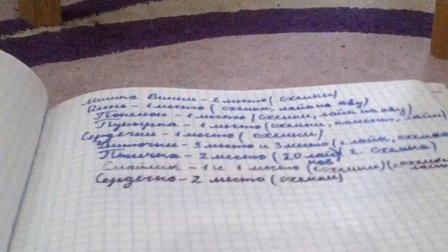 Мои новые рисунки по клеточкам смотреть онлайн