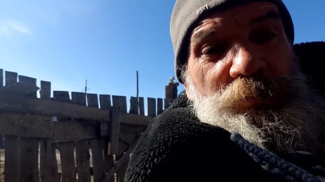 ?Собаки лают,а караван идёт или что я заметил. смотреть онлайн