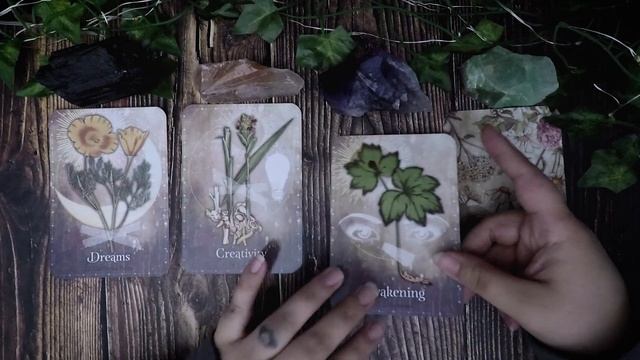 Daily Pick A Card Reading Magickal Herb Oracle смотреть онлайн
