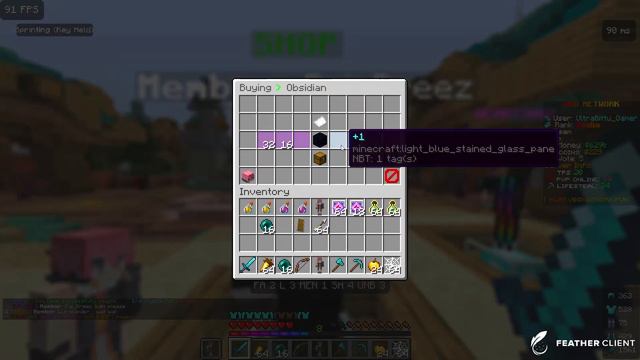 How I Got Media Rank in this Public Lifesteal Server смотреть онлайн