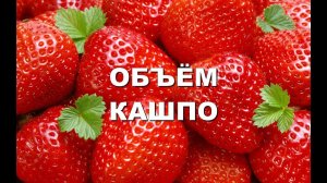 ОБЪЕМ КАШПО ДЛЯ КЛУБНИКИ