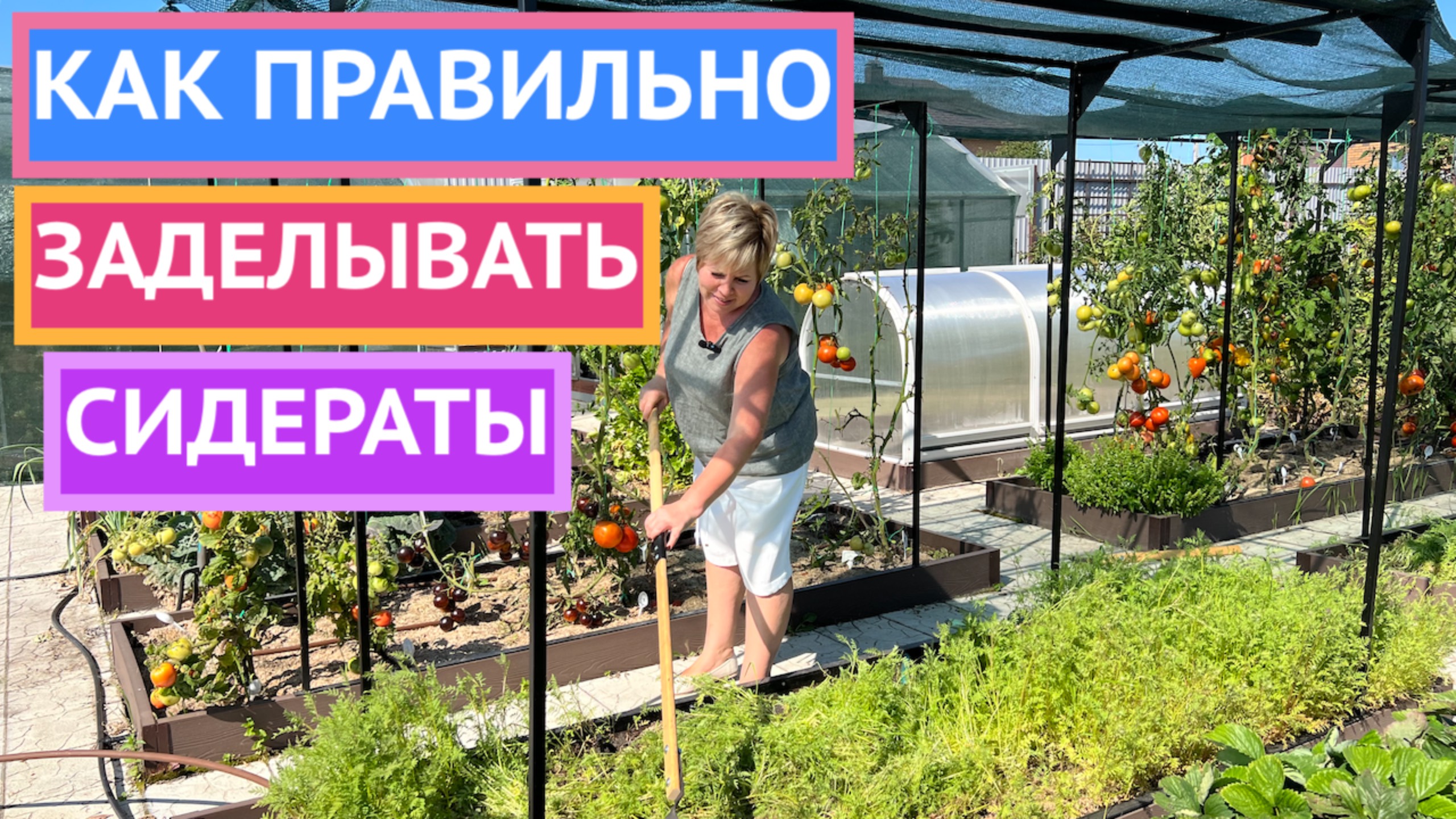 ПОЧЕМУ ВАМ ОБЯЗАТЕЛЬНО НУЖНО ЗАДЕЛАТЬ СИДЕРАТЫ В ПОЧВУ смотреть онлайн