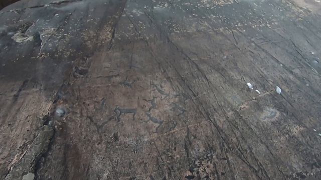 Петроглифы Белого моря смотреть онлайн