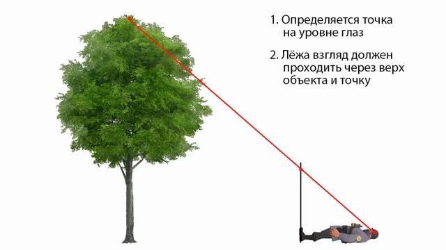 [РВ] Измерение высоты объектов палкой (ответ) смотреть онлайн