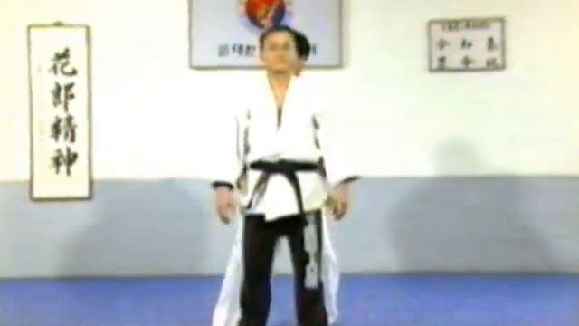 Hapkido KHF CD1 part 3 смотреть онлайн