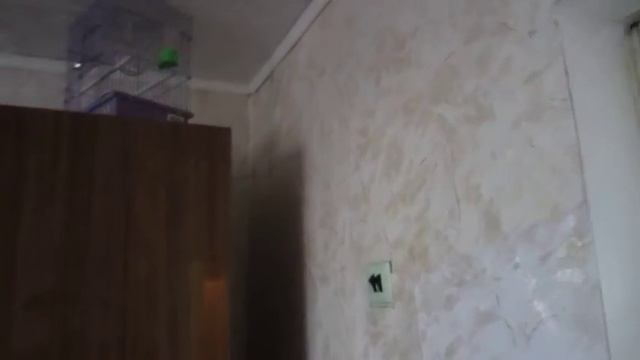 2-комнатная квартира в Ново-Савиновском районе Казани