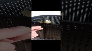 Доверчивая синица