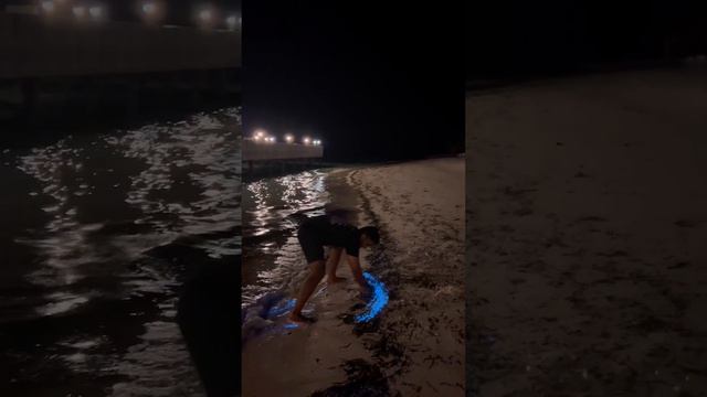 Bioluminescent Plankton Glow on Beach in the Maldives || ViralHog смотреть онлайн