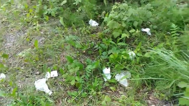 Убираем мусор в лесу. Часть 2 forest cleaning part 2 смотреть онлайн